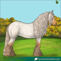 Horse Color:Palomino Roan Dun 