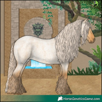 Horse Color:Palomino Roan Dun