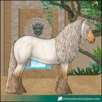 Horse Color:Palomino Roan Dun 