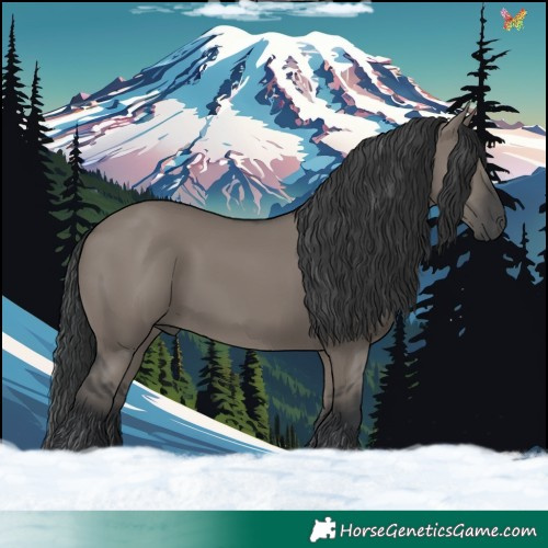 Horse Color:Grullo 