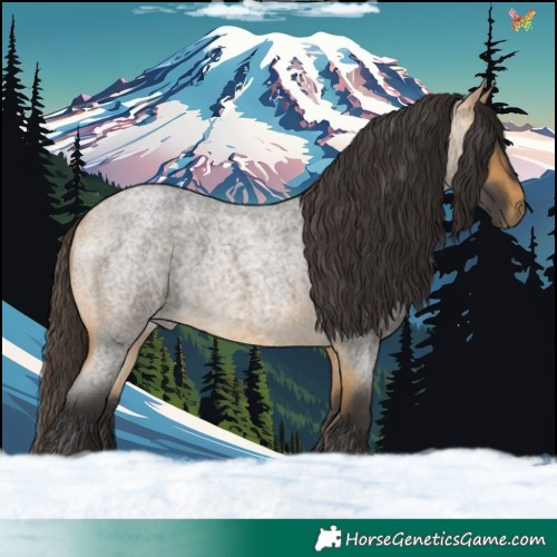 Horse Color:Buckskin Roan 
