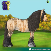 Horse Color:Buckskin  and Buckskin Dun 