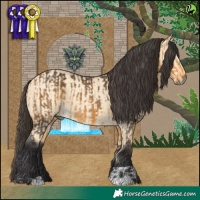 Horse Color:Buckskin  and Buckskin Dun 