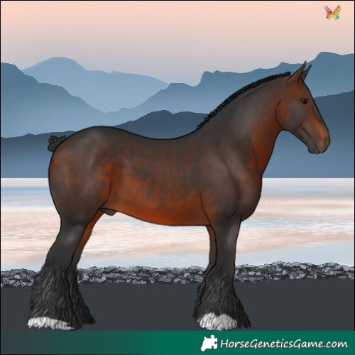 Horse Color:Brown 