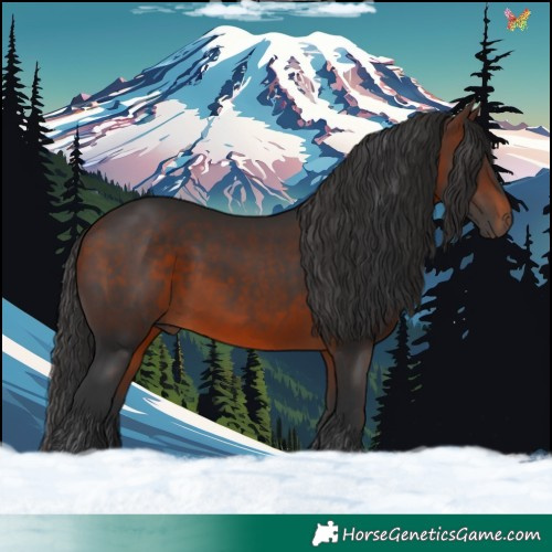 Horse Color:Brown 