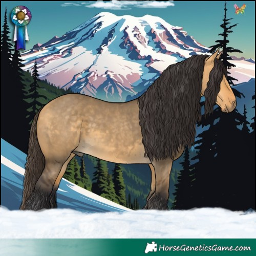 Horse Color:Buckskin Dun 