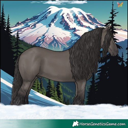 Horse Color:Smoky Grullo 