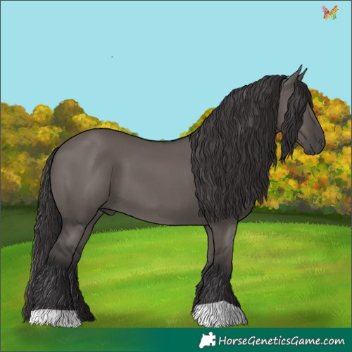 Horse Color:Smoky Grullo 