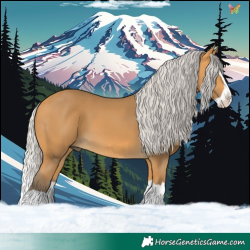 Horse Color:Silver Buckskin Splash 