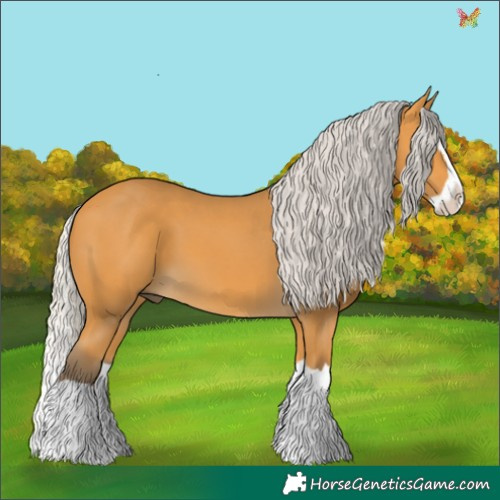 Horse Color:Silver Buckskin Splash 