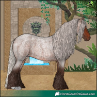 Horse Color:Silver Brown Roan
