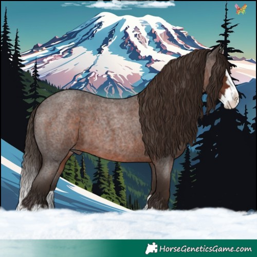 Horse Color:Liver Red Roan Splash 