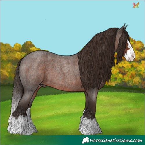 Horse Color:Liver Red Roan Splash 