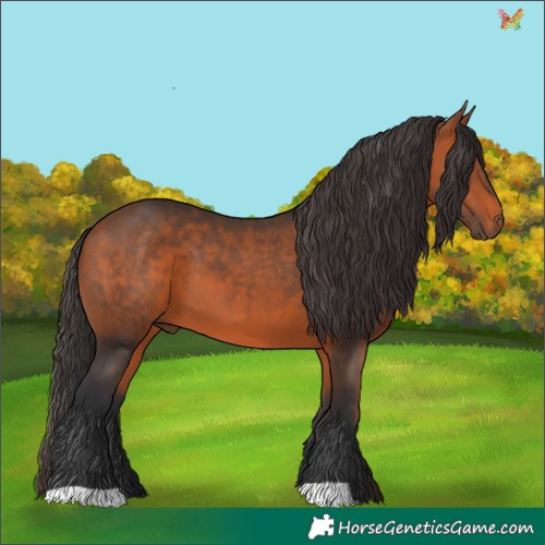 Horse Color:Brown 