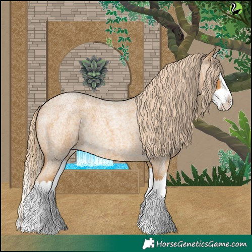 Horse Color:Palomino Roan Splash 