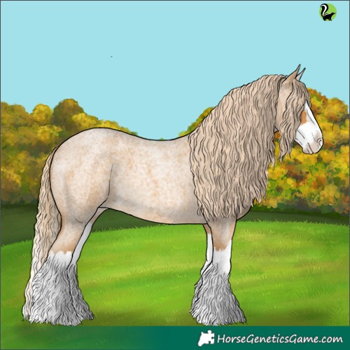 Horse Color:Palomino Roan Splash 