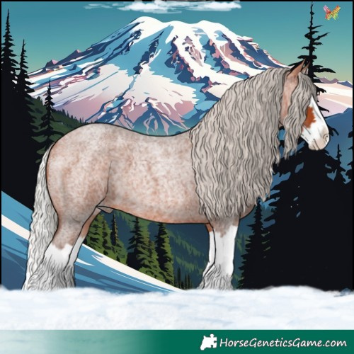 Horse Color:Silver Bay Roan Splash 