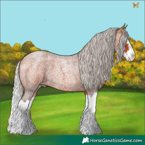 Horse Color:Silver Bay Roan Splash 