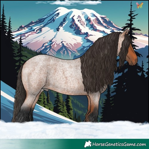 Horse Color:Bay Roan 