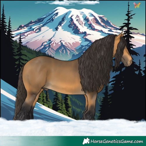 Horse Color:Buckskin 