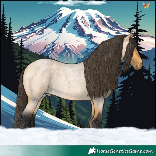 Horse Color:Buckskin Roan 