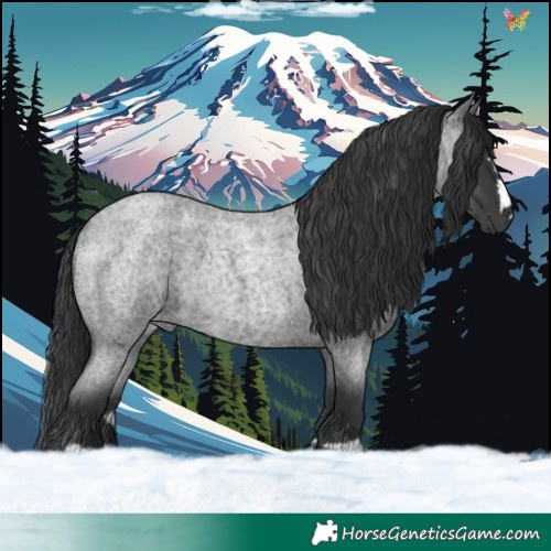 Horse Color:Blue Roan 