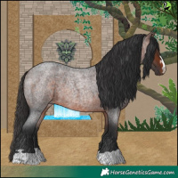 Horse Color:Brown Roan