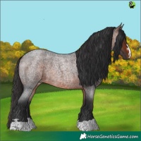 Horse Color:Brown Roan 