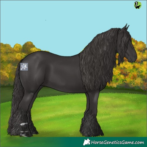 Horse Color:Smoky Black 