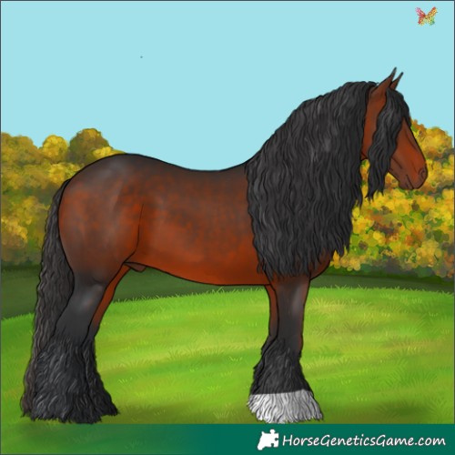 Horse Color:Brown 