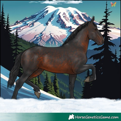 Horse Color:Brown 