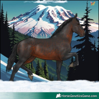Horse Color:Brown 