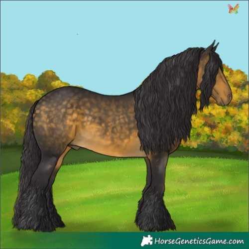 Horse Color:Buckskin 