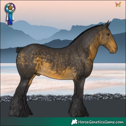 Horse Color:Buckskin 