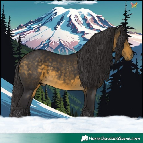Horse Color:Buckskin 