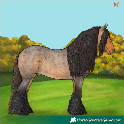 Horse Color:Buckskin Roan 