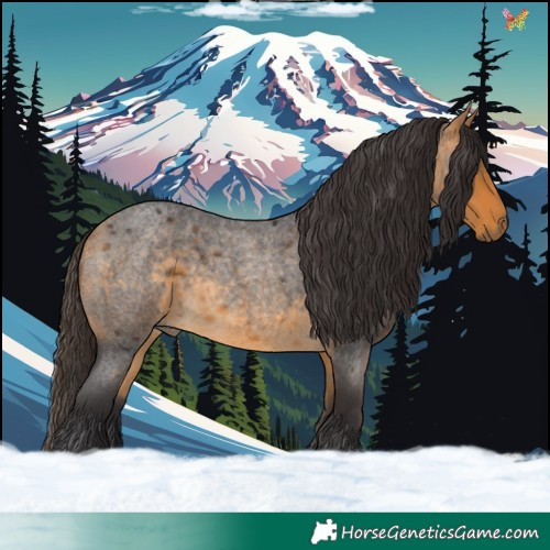 Horse Color:Buckskin Roan 