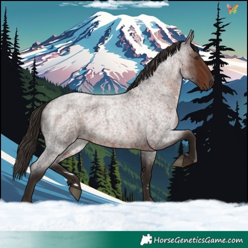 Horse Color:Liver Red Roan