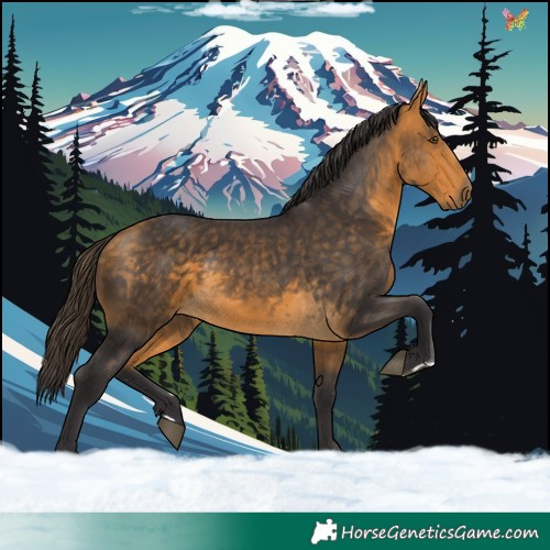 Horse Color:Buckskin Rabicano