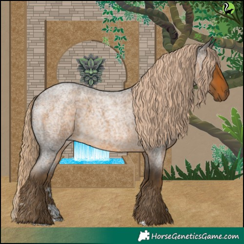 Horse Color:Chocolate Palomino Roan 