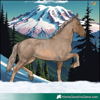 Horse Color:Chocolate Palomino Roan 