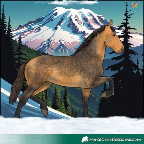 Horse Color:Buckskin Rabicano