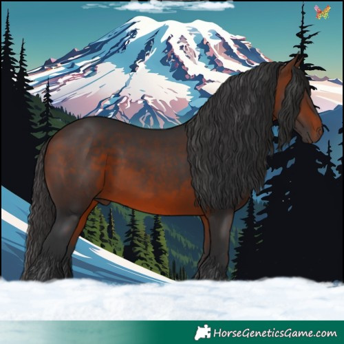 Horse Color:Bay Rabicano 