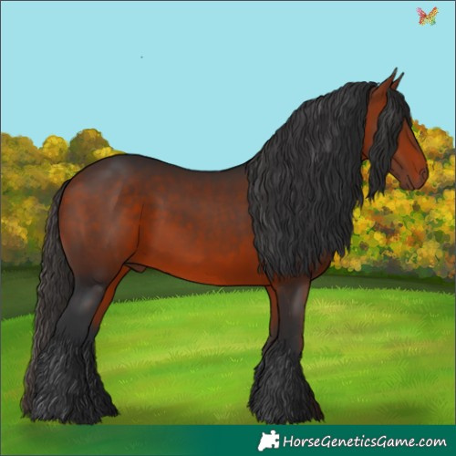 Horse Color:Bay Rabicano 