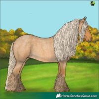 Horse Color:Palomino Roan Rabicano 