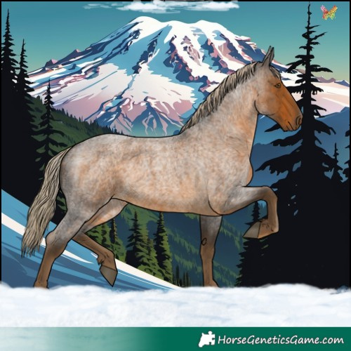 Horse Color:Chocolate Palomino Roan Rabicano 