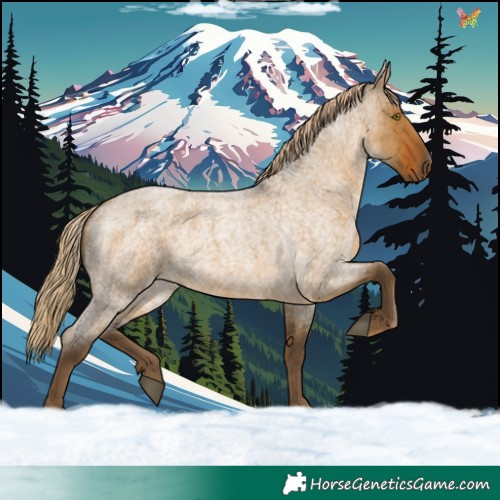 Horse Color:Chocolate Palomino Roan Dun 