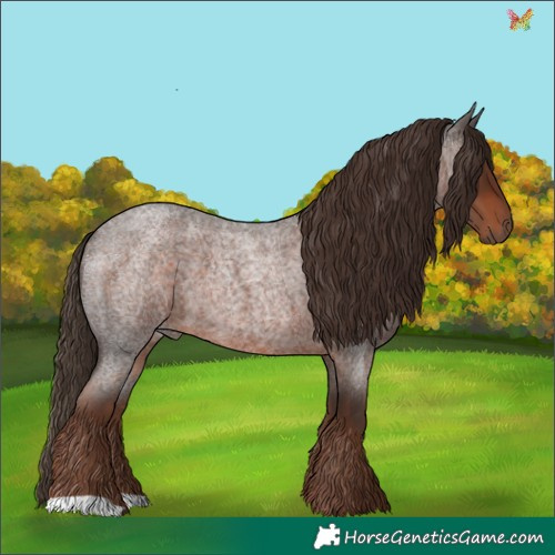 Horse Color:Liver Red Roan 