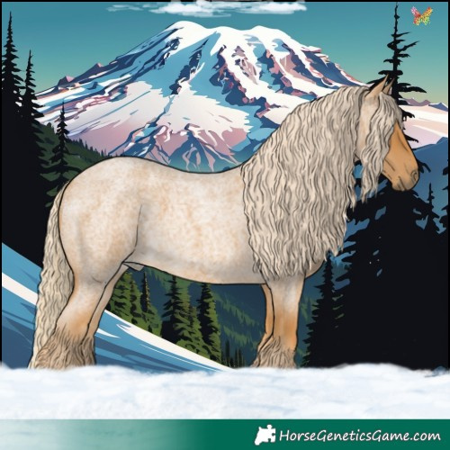 Horse Color:Palomino Roan 