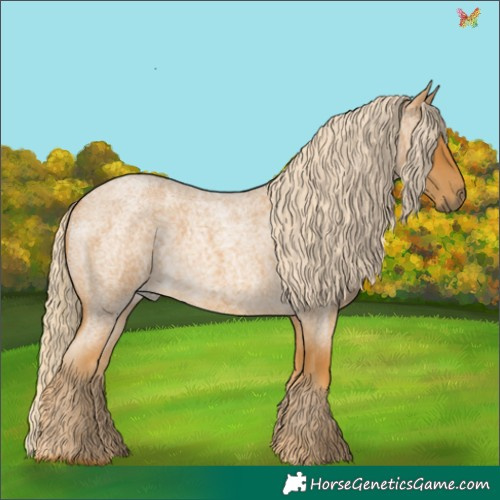 Horse Color:Palomino Roan 
